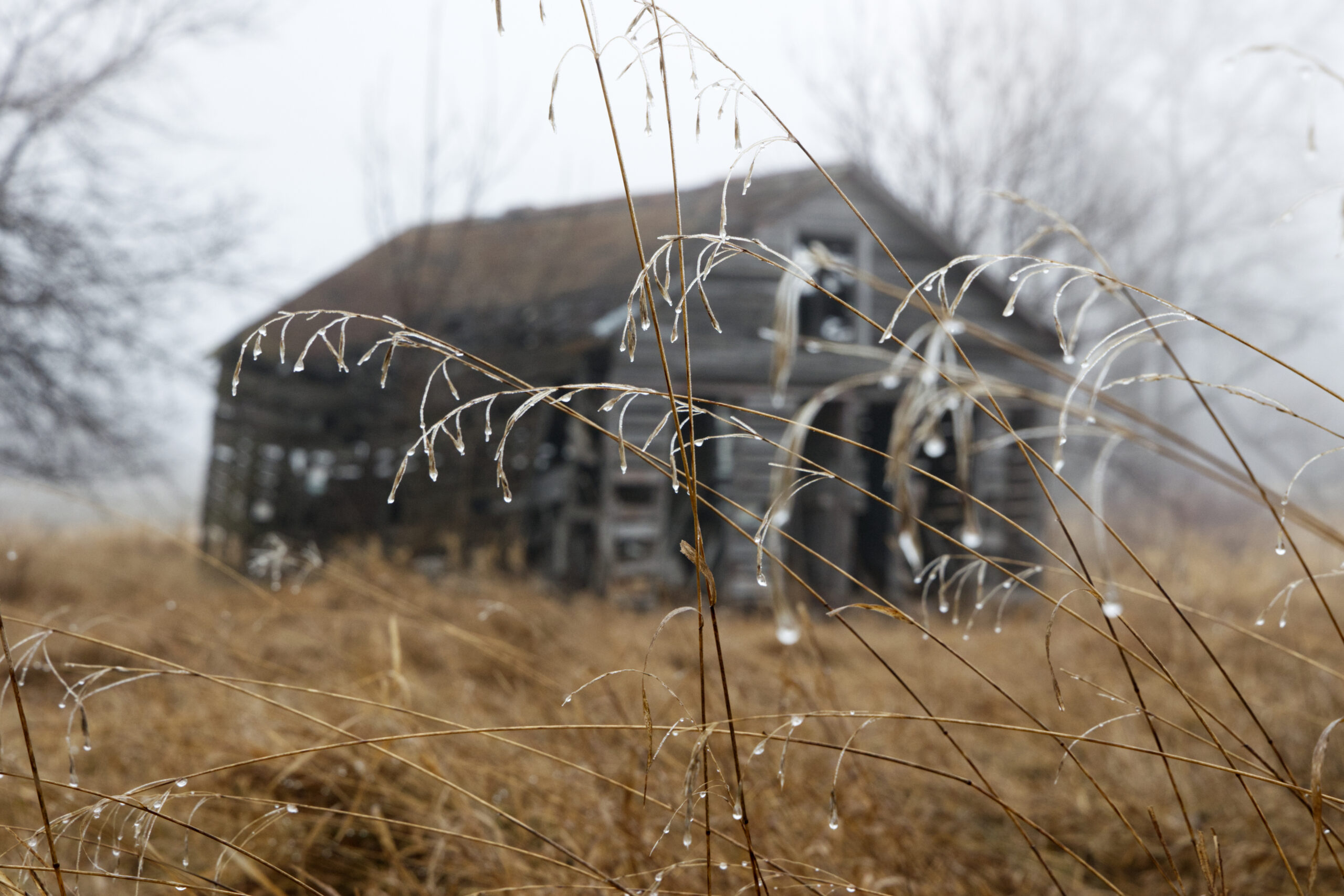 Blurry Background Dilapidated farm building on Foggy Day